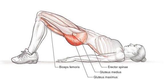 The Glutes and the ITB - Regenexx