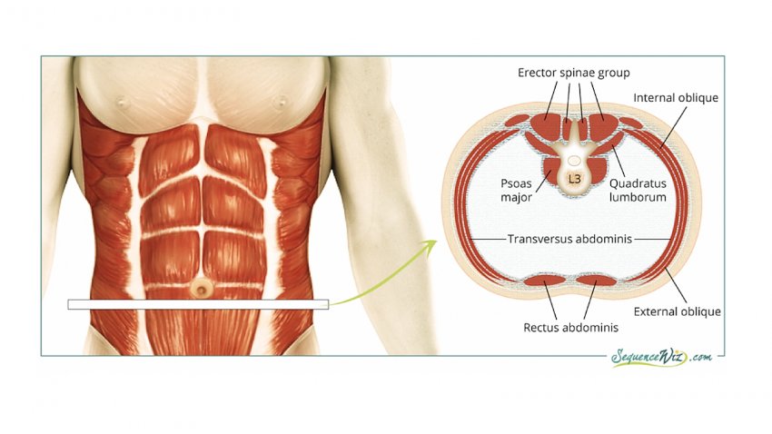 Injury Prevention Part 1: Your Way to A Stronger Core