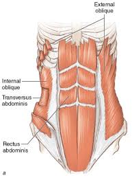 Injury Prevention Part 1: Your Way to A Stronger Core